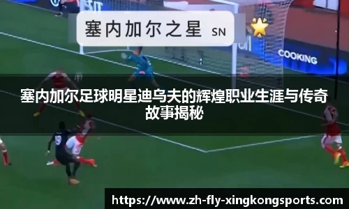 塞内加尔足球明星迪乌夫的辉煌职业生涯与传奇故事揭秘